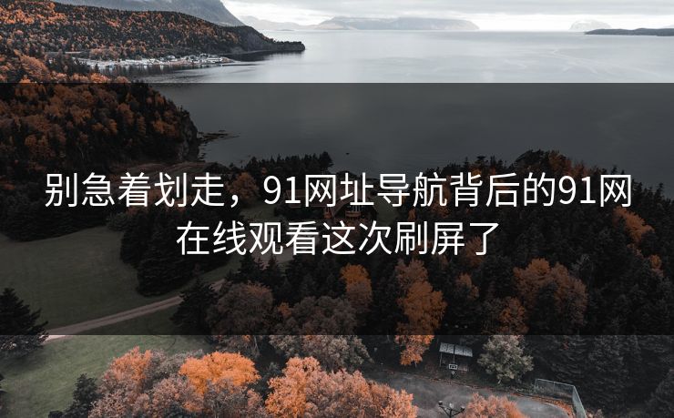 别急着划走，91网址导航背后的91网在线观看这次刷屏了