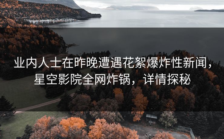 业内人士在昨晚遭遇花絮爆炸性新闻，星空影院全网炸锅，详情探秘